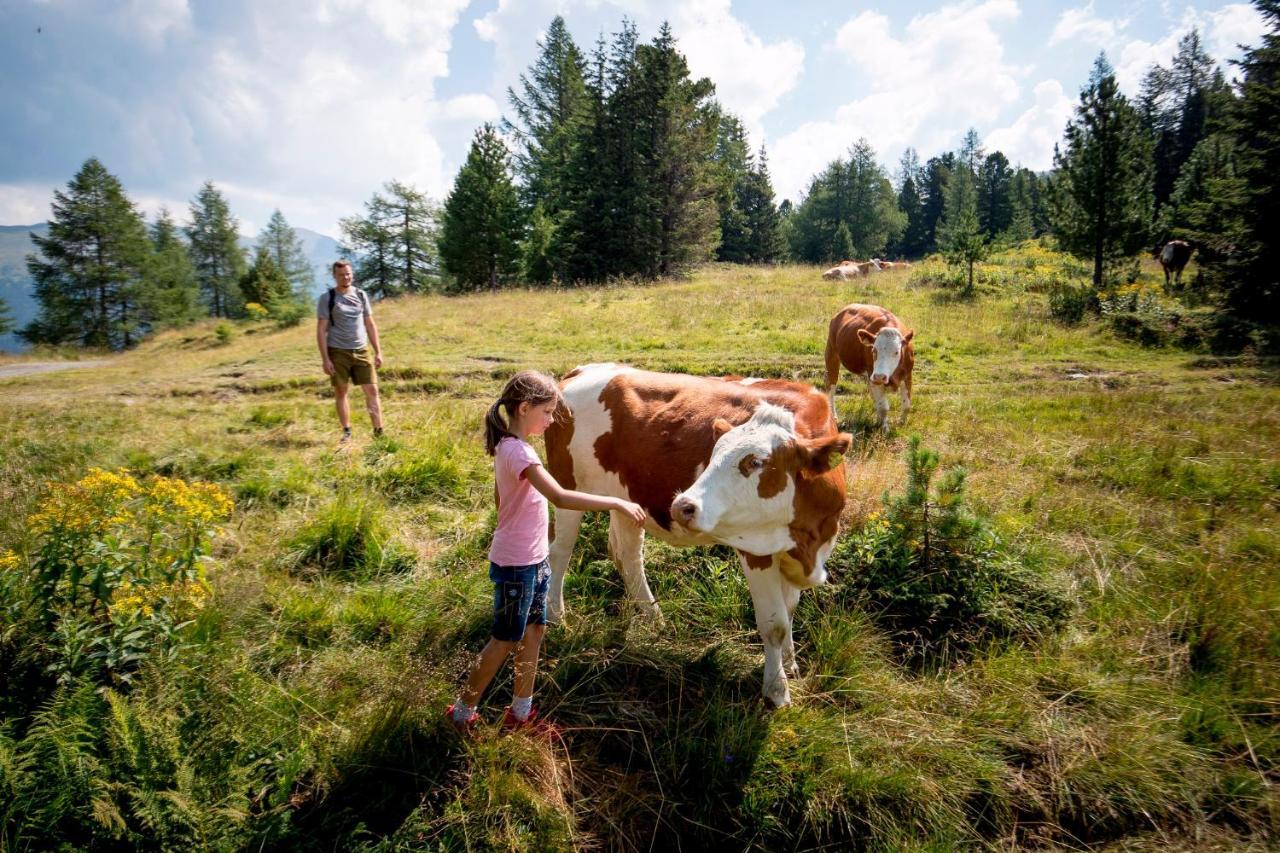 Gaestehaus Biobauernhof Mandl Murau Kültér fotó